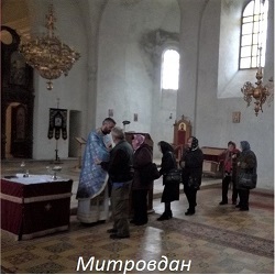 mitrovdan17